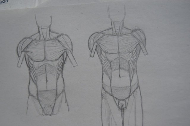 Anatomical practice